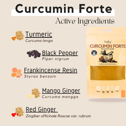curcumin forte powder ingredients Australia