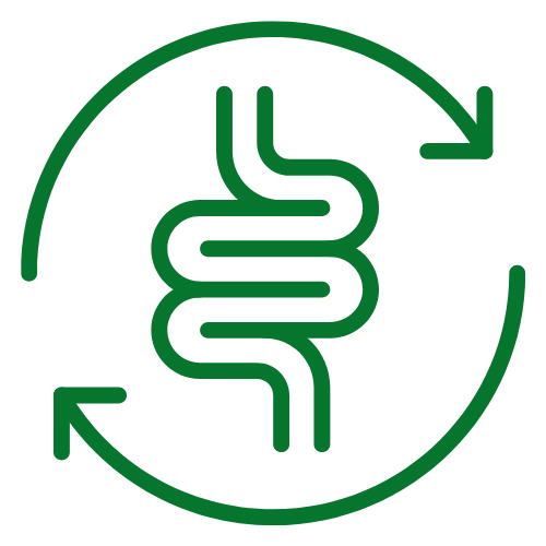 Digestive Health icon