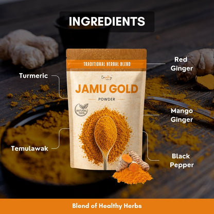 A stand-up pouch labeled 'JAMU GOLD POWDER' centered on a dark rustic background with ingredient callouts pointing to turmeric, red ginger, mango ginger, temulawak, and black pepper. The word 'INGREDIENTS' appears at the top.