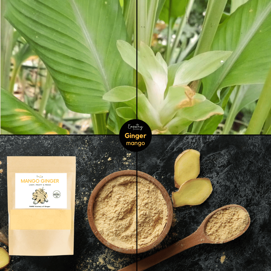 Anti-Inflammatory Powders - sample