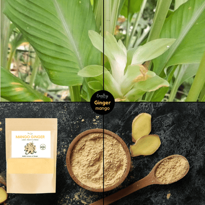 Anti-Inflammatory Powders - sample