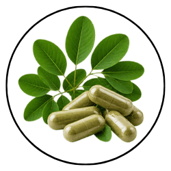 Green herbal supplement capsules filled with powder, arranged with fresh green leaves inside a circular frame on a white background.