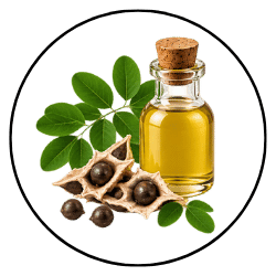 A small glass bottle filled with golden yellow liquid, sealed with a cork stopper, shown beside green leaves and a cracked pod with dark round seeds. The whole arrangement is centered inside a thin black oval border on a white background.