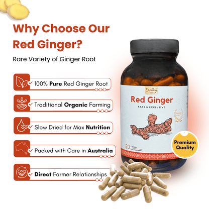 Bottle of Red Ginger capsules with promotional text on a white background