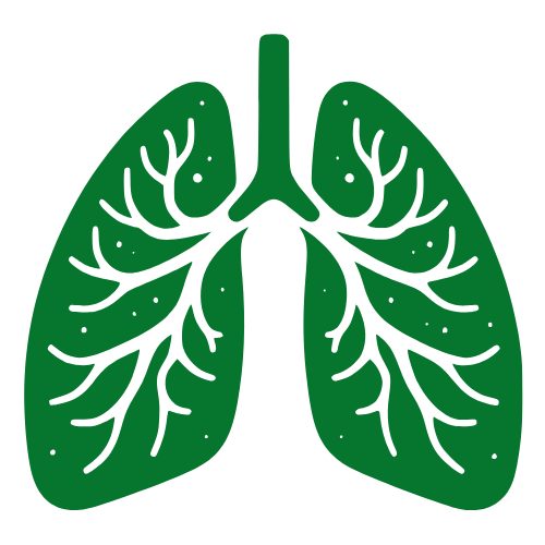 Respiratory_health icon