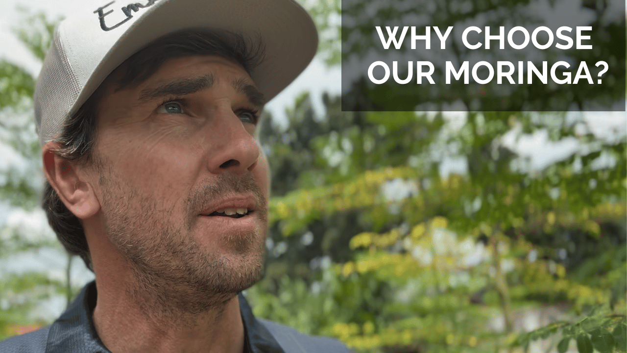 Load video: Why choose our moringa