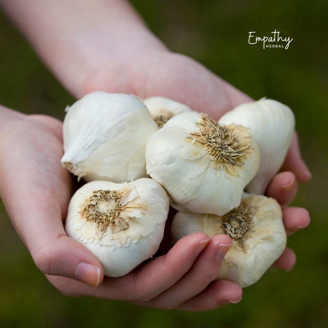 holding garlic