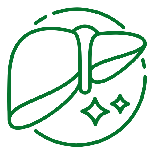 liver health icon